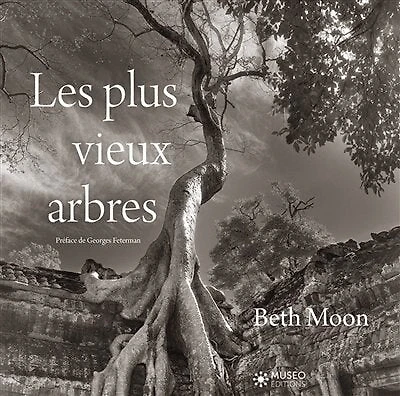 LES PLUS VIEUX ARBRES