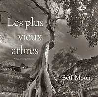 LES PLUS VIEUX ARBRES
