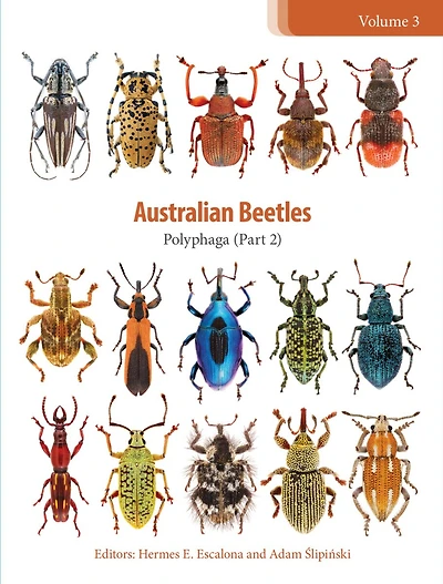 Australian Beetles: Polyphaga (Part 2)