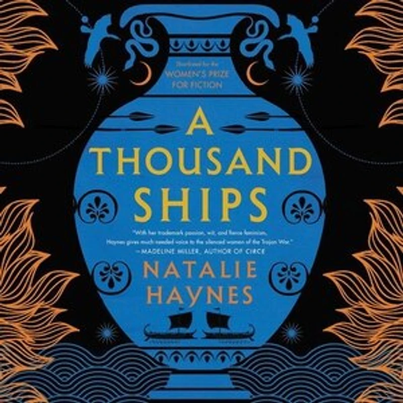 A Thousand Ships: Novel