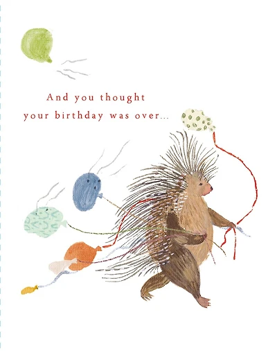 Love Muchly Greeting Cards: Belated Birthday - And you thought your birthday (Pack of 6)