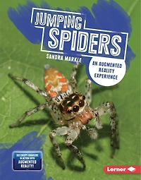 Jumping Spiders: An Augmented Reality Experience