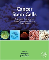 Cancer Stem Cells: Targeting The Roots Of Cancer, Seeds Metastasis, And Sources Therapy Resistance
