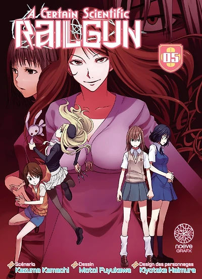 A certain scientific Railgun