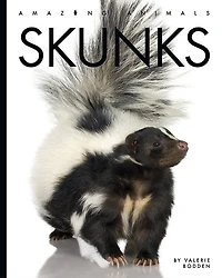 Skunks: Amazing Animals: Skunks