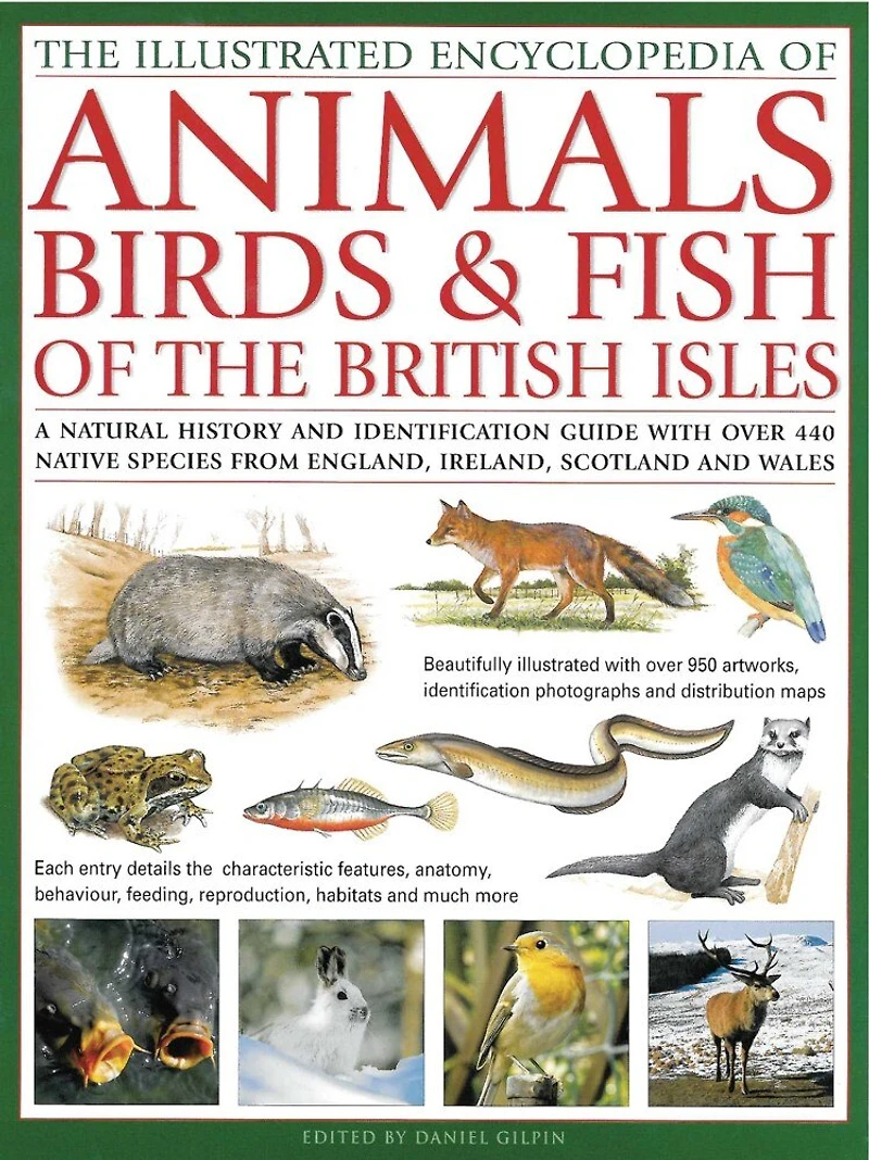Illustrated Encyclopedia of Animals, Birds & Fish of British Isles: A natural history and identification guide with over 440 native species from England, Ireland, Scotland and Wales