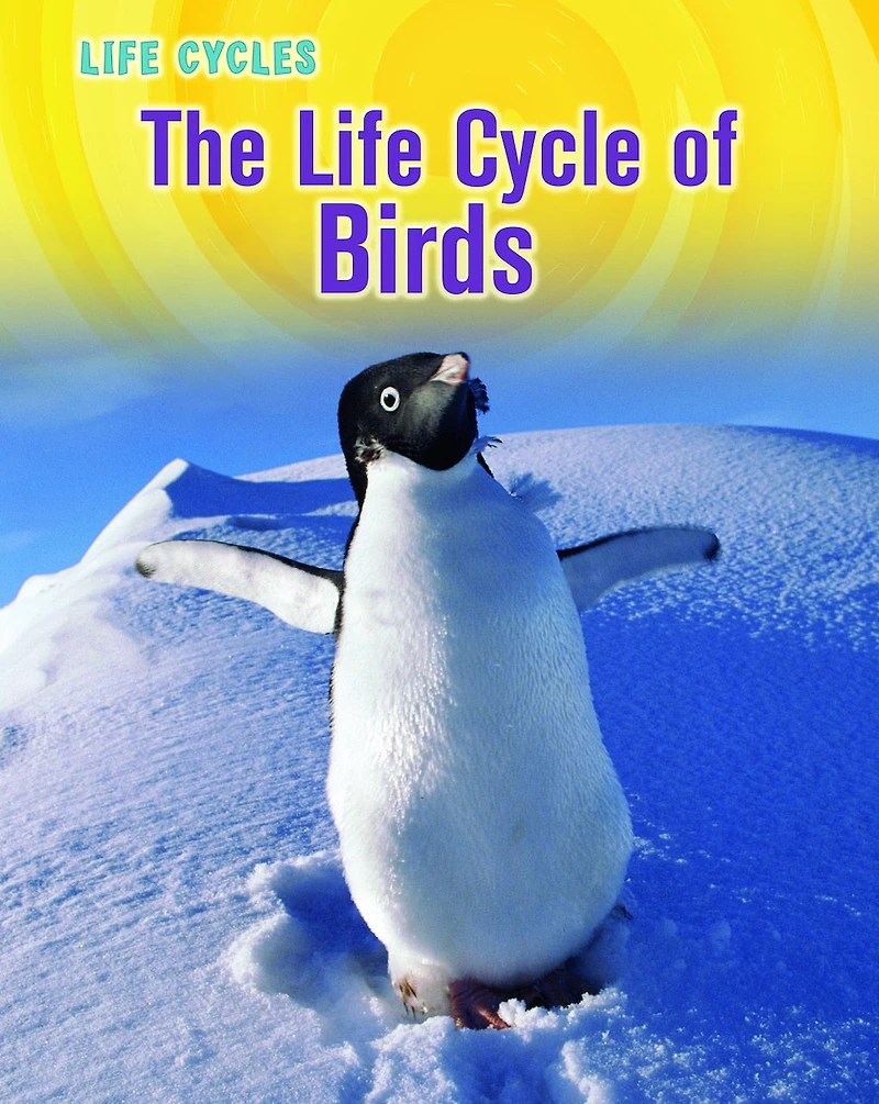 The Life Cycle of Birds