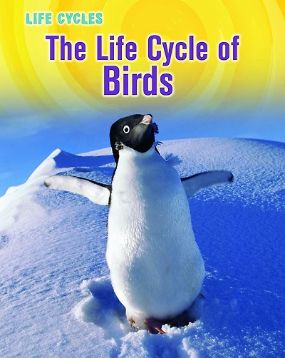 The Life Cycle of Birds