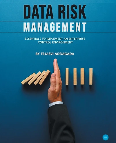 Data Risk Management: Essentials to implement an Enterprise Control Environment