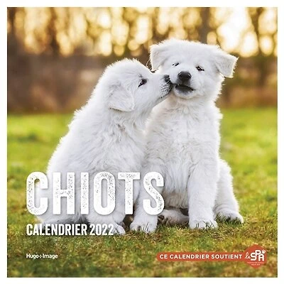 Chiots: calendrier 2022