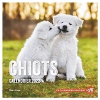 Chiots: calendrier 2022
