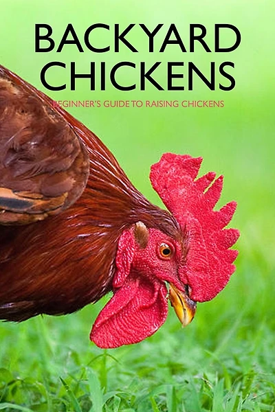 Backyard Chickens: Beginner's Guide to Raising Chickens: Guide to Keeping Chickens