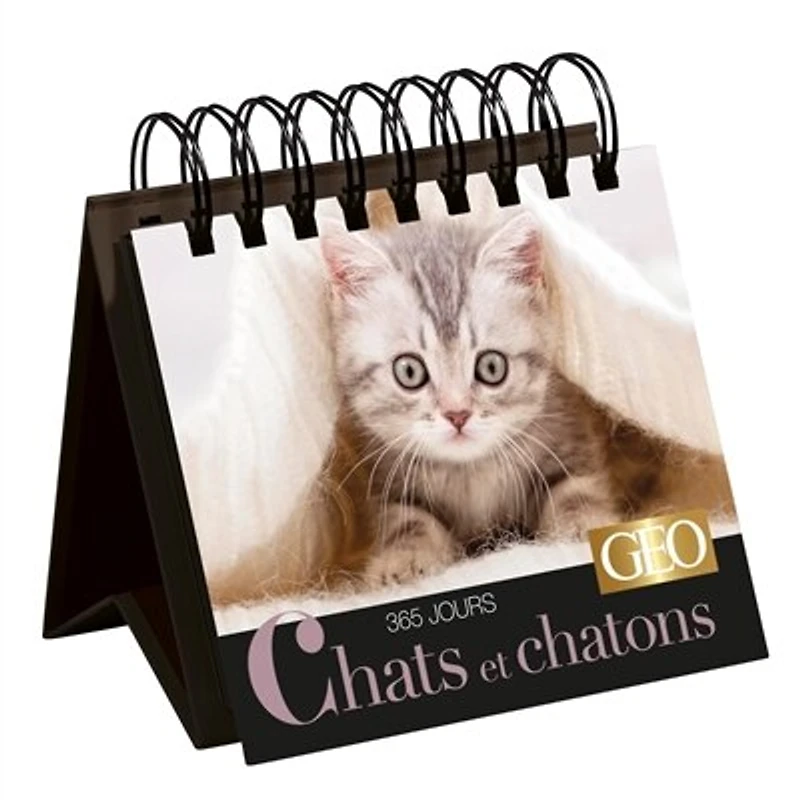 Chats et chatons : 365 jours: 365 jours