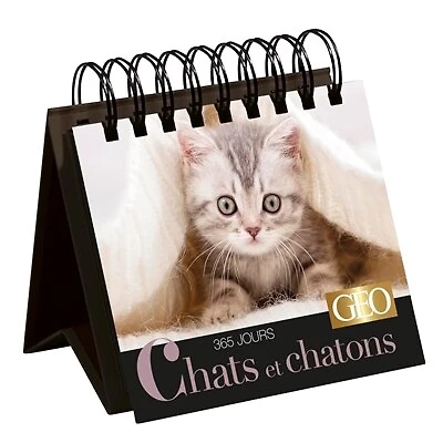 Chats et chatons : 365 jours: 365 jours