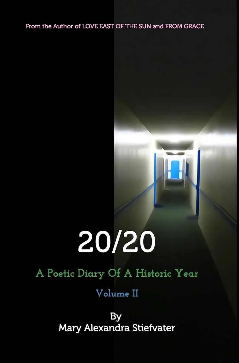 20/20 (Volume II): A Poetic Diary Of A Historic Year