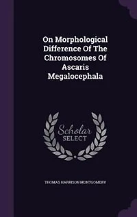 On Morphological Difference Of The Chromosomes Ascaris Megalocephala