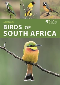 Birds Of South Africa