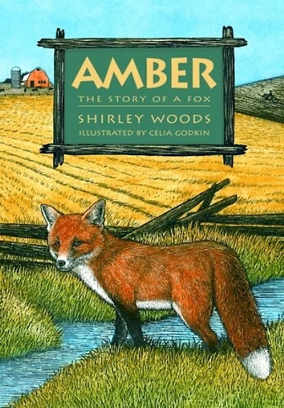 Amber: The Story of A Red Fox