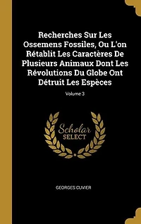 Recherches Sur Les Ossemens Fossiles, Ou L'on Rétablit Caractères De Plusieurs Animaux Dont Révolutions Du Globe Ont Détruit Espèces; Volume 3