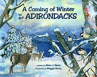 Coming Of Winter In The Adirondacks