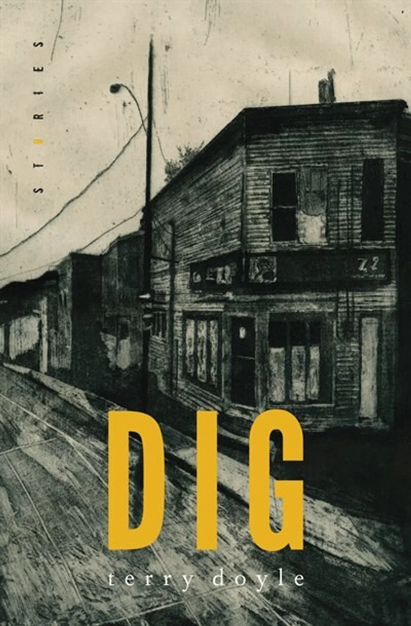 Dig