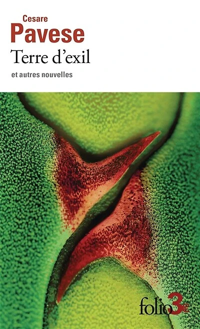Terre d'exil : et autres nouvelles: et autres nouvelles