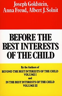 Before the Best Interests of Child