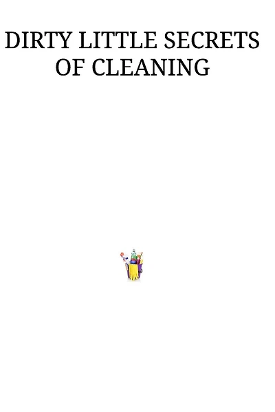 DIRTY LITTLE SECRETS OF CLEANING