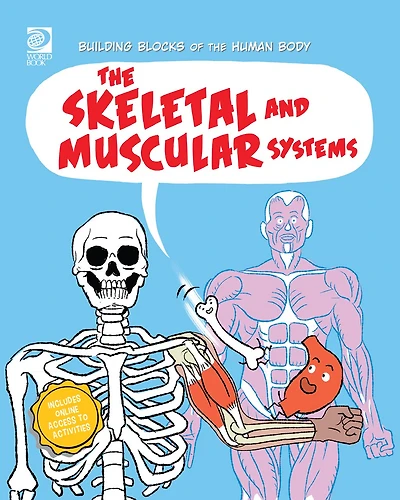 The Skeletal and Muscular Systems