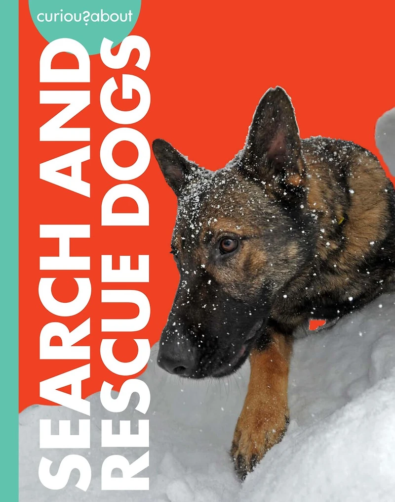 Curious about Search and Rescue Dogs
