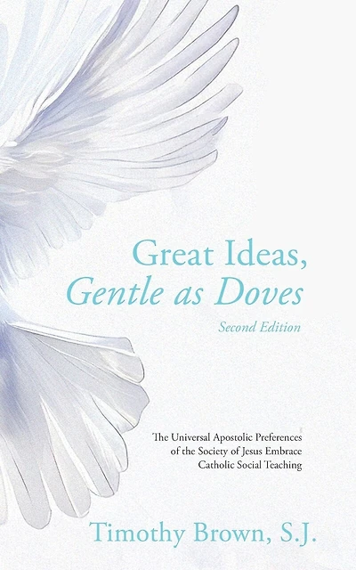 Great Ideas, Gentle as Doves: The Universal Apostolic Preferences of the Society of Jesus Embrace Catholic Social Teaching