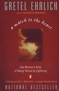 A Match to the Heart: One Woman's Story of Being Struck By Lightning