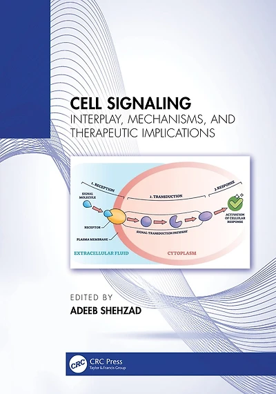 Cell Signaling: Interplay, Mechanisms, and Therapeutic Implications