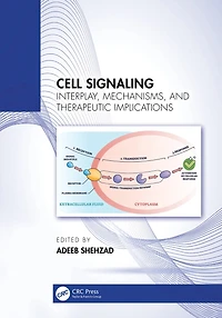 Cell Signaling: Interplay, Mechanisms, and Therapeutic Implications