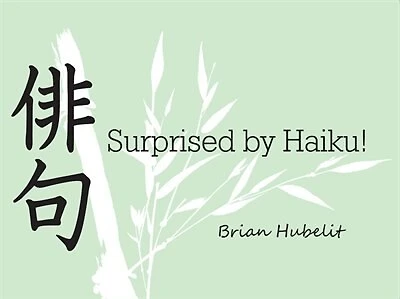 SURPRISED BY HAIKU!