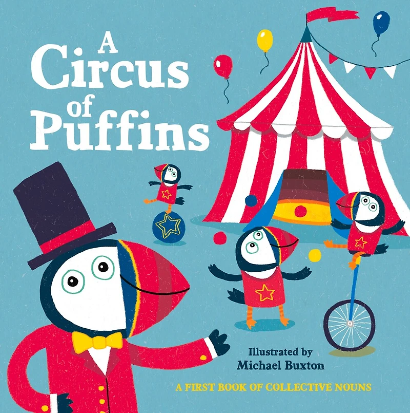 A Circus of Puffins