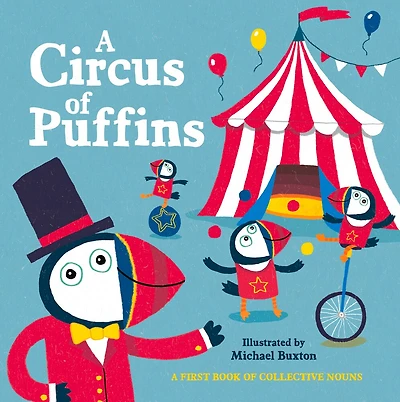A Circus Of Puffins