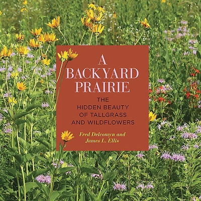 A Backyard Prairie: The Hidden Beauty Of Tallgrass And Wildflowers