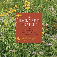 A Backyard Prairie: The Hidden Beauty Of Tallgrass And Wildflowers