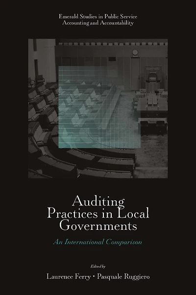 Auditing Practices Local Governments: An International Comparison