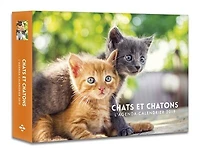Chats et chatons: l'agenda-calendrier 2019