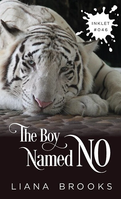 The Boy Named No