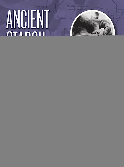 Ancient Starch Research