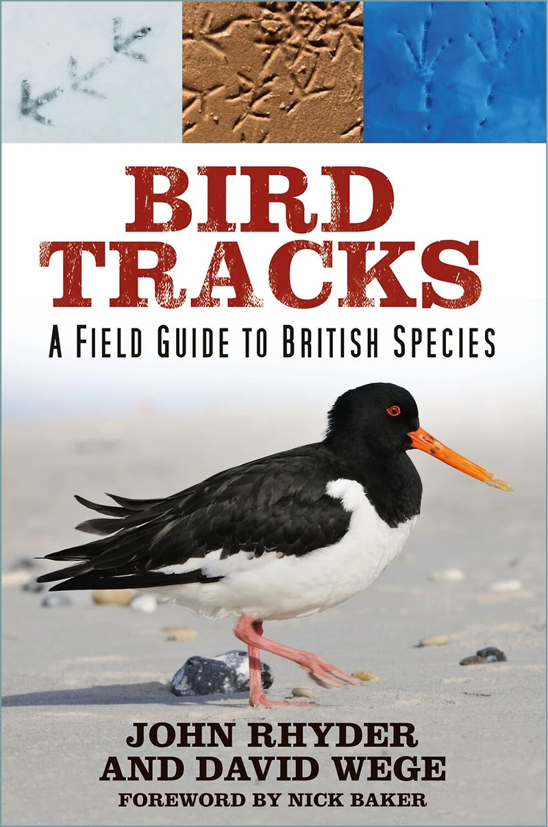 Bird Tracks: A Field Guide to British Species