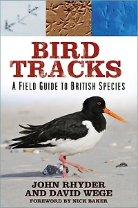 Bird Tracks: A Field Guide to British Species