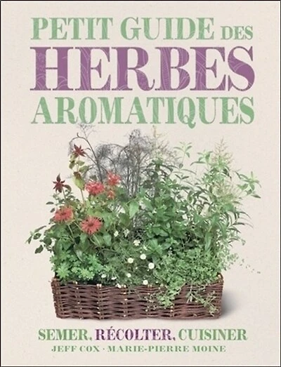 Petit guide des herbes aromatiques: semer, récolter, cuisiner