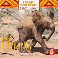 We Read about Baby Elephants
