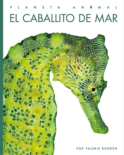 El caballito de mar: Planeta animal: El caballito de mar