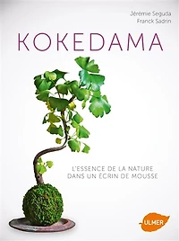 Kokedama: l'essence de la nature dans un écrin de mousse