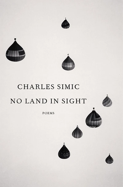 No Land Sight: Poems